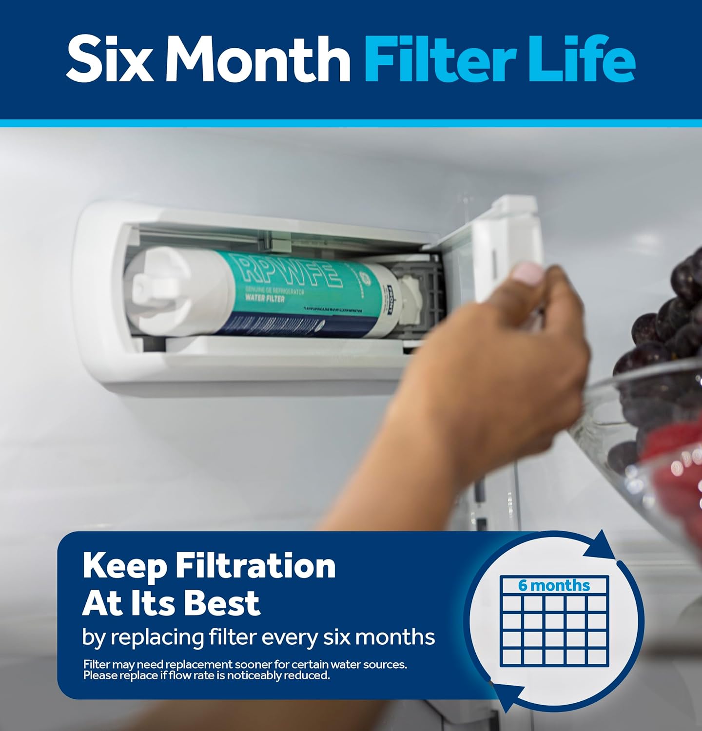 GE RPWFE Refrigerator Water Filter, Genuine Replacement Filter, Certified to Reduce Lead, Sulfur, and 50+ Other Impurities, Replace Every 6 Months for Best Results, Pack of 1